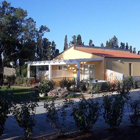 Azienda Agricola I Peperoncini Alghero Eksteriør billede