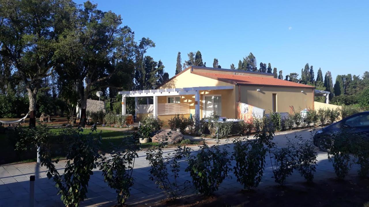 Azienda Agricola I Peperoncini Alghero Eksteriør billede
